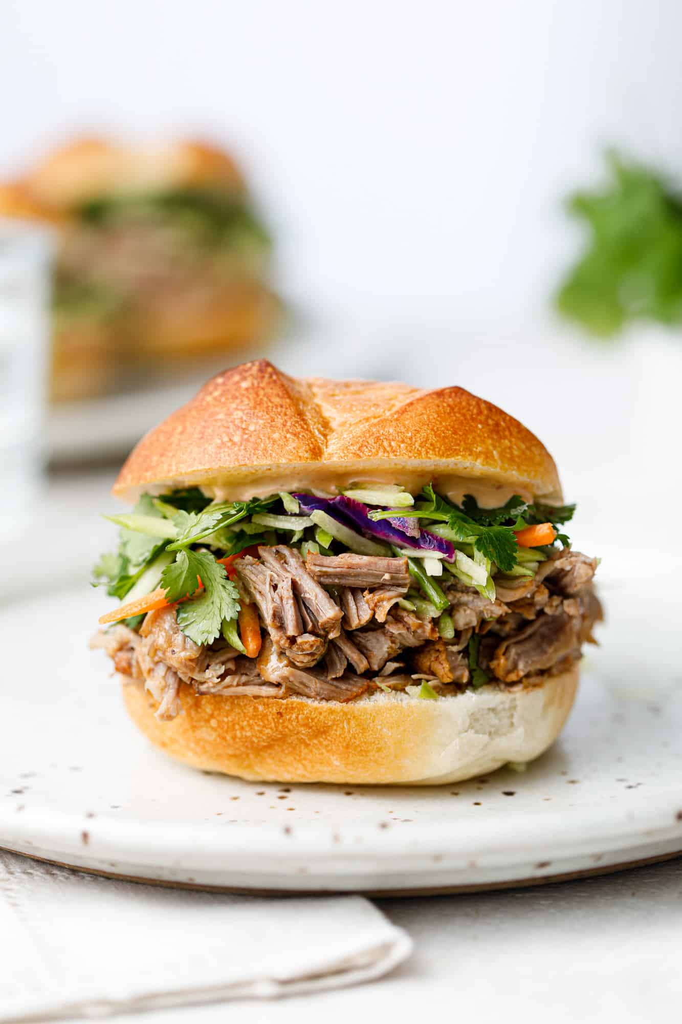 Head on shot of a pulled pork sandwich with broccoli slaw on a white plate