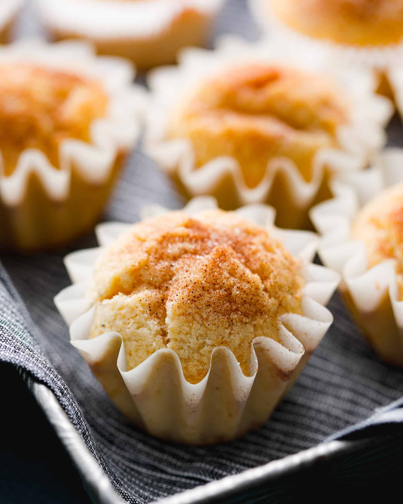 snickerdoodle muffins in white paper liners