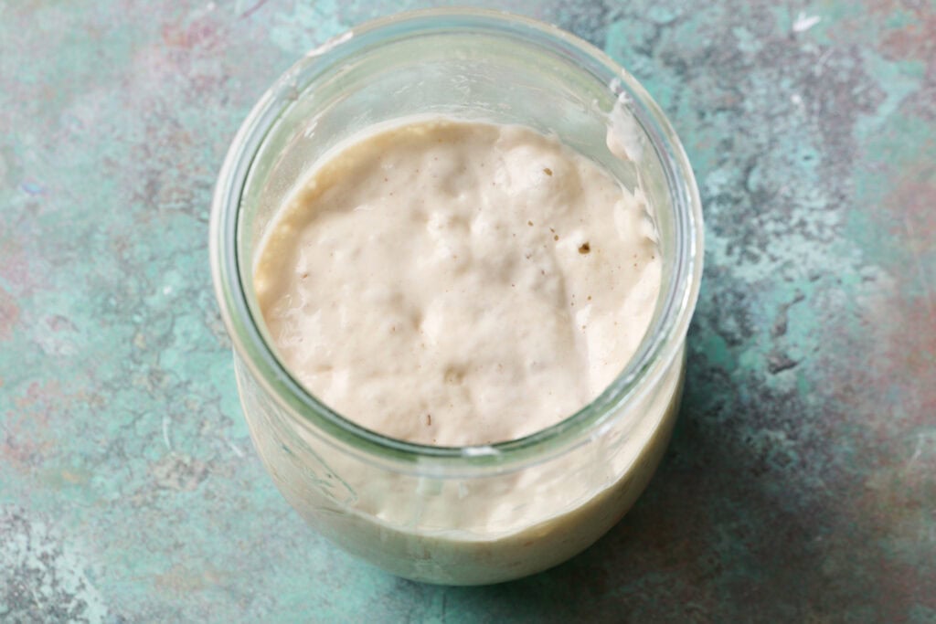 angled view of sourdough discard