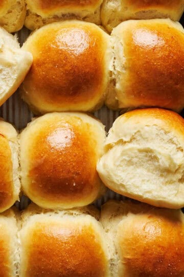 sourdough dinner rolls in a pan