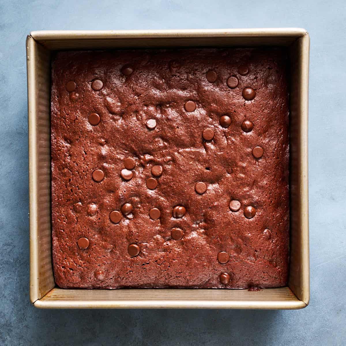 baked brownies fresh out of the oven still in the pan
