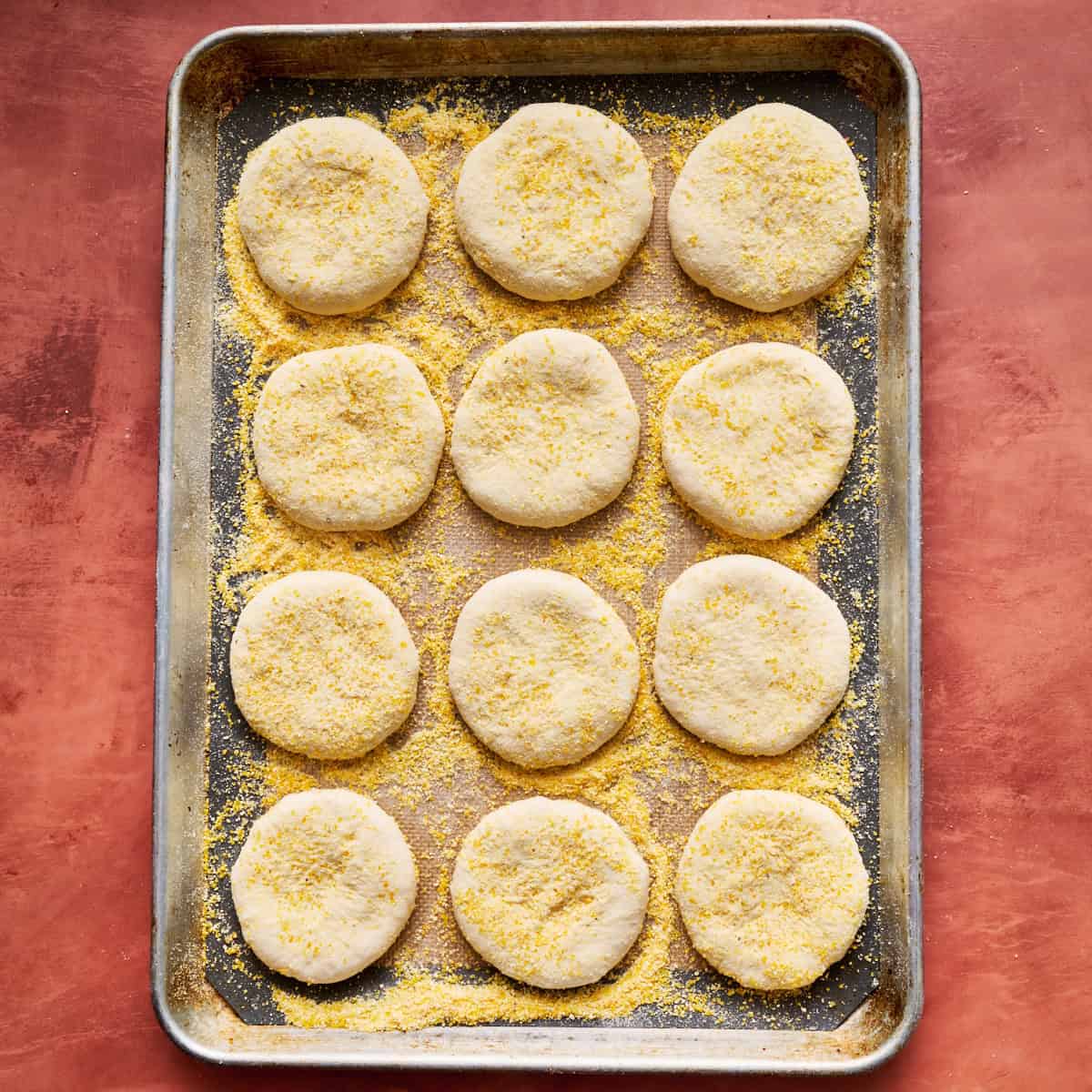 english muffins after being shaped on a baking sheet with cornmeal