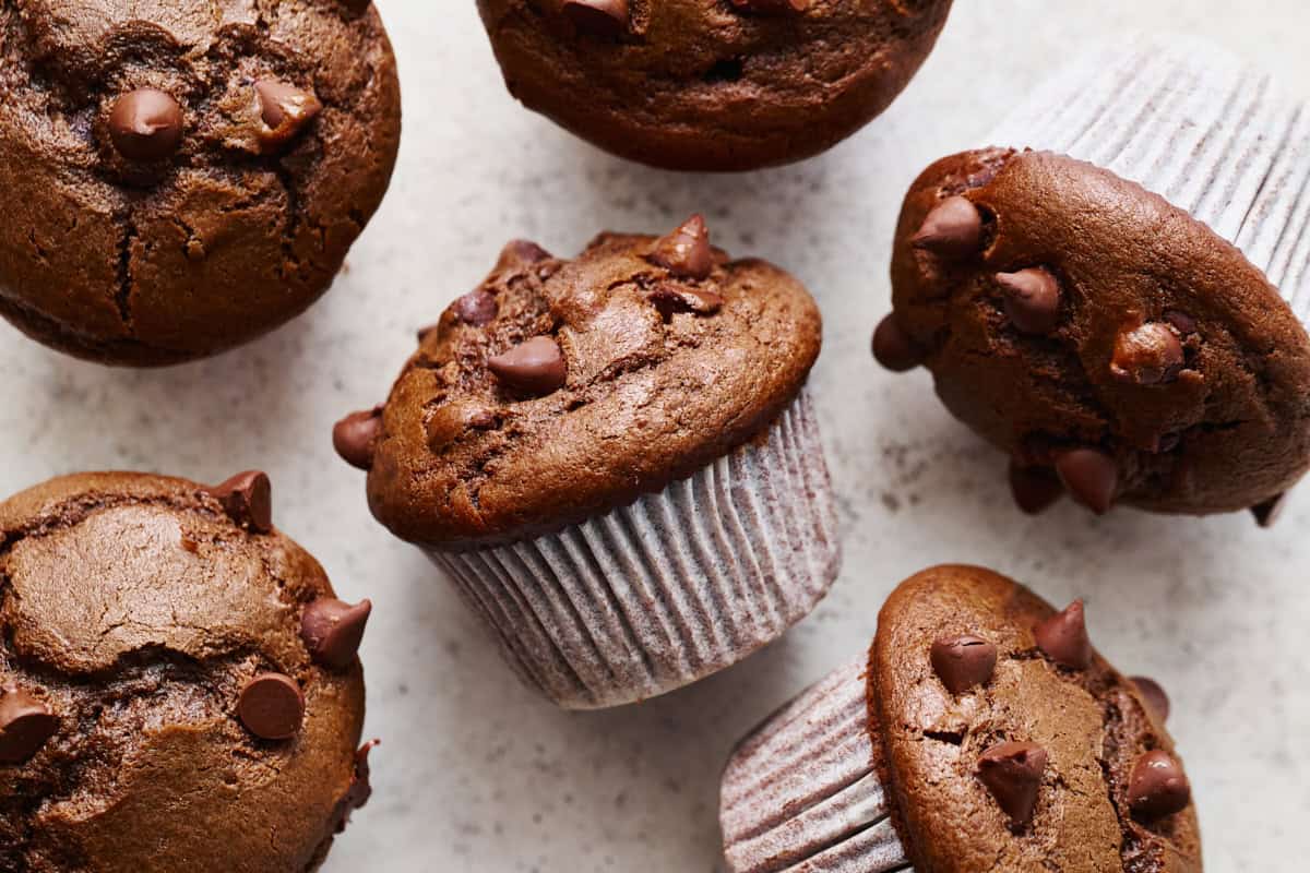 sourdough chocolate muffins with shiny chocolate chips on a countertop