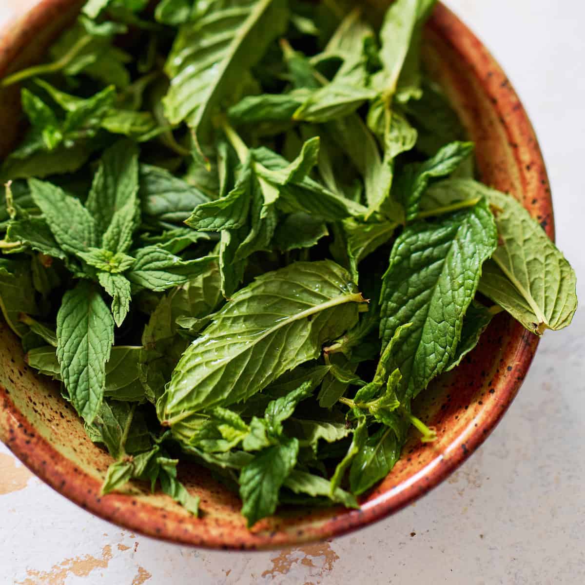 closeup of fresh mint