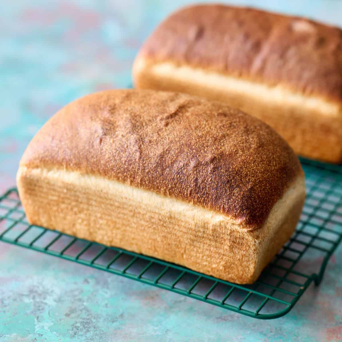 loafs after baking and cooling on a rack