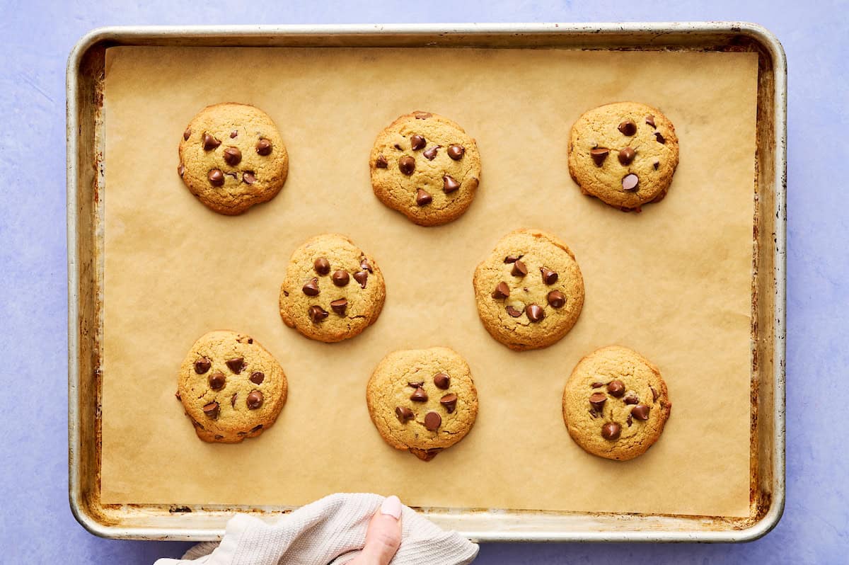 sugar free chocolate chip cookies fresh out of the oven