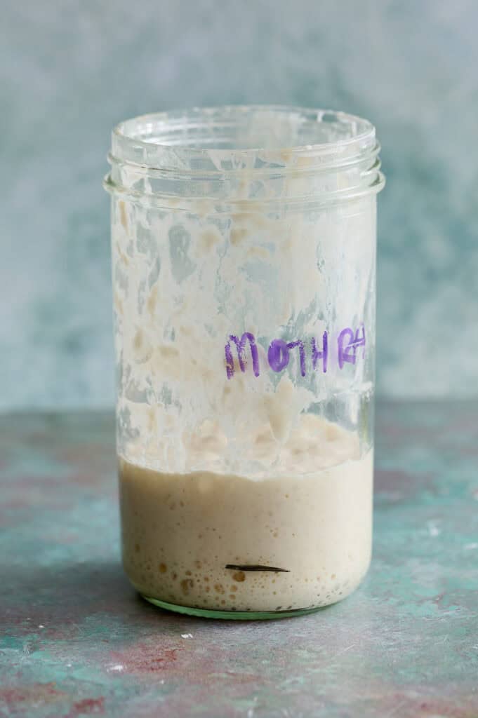 showing how the starter finished after rising for 7 hours