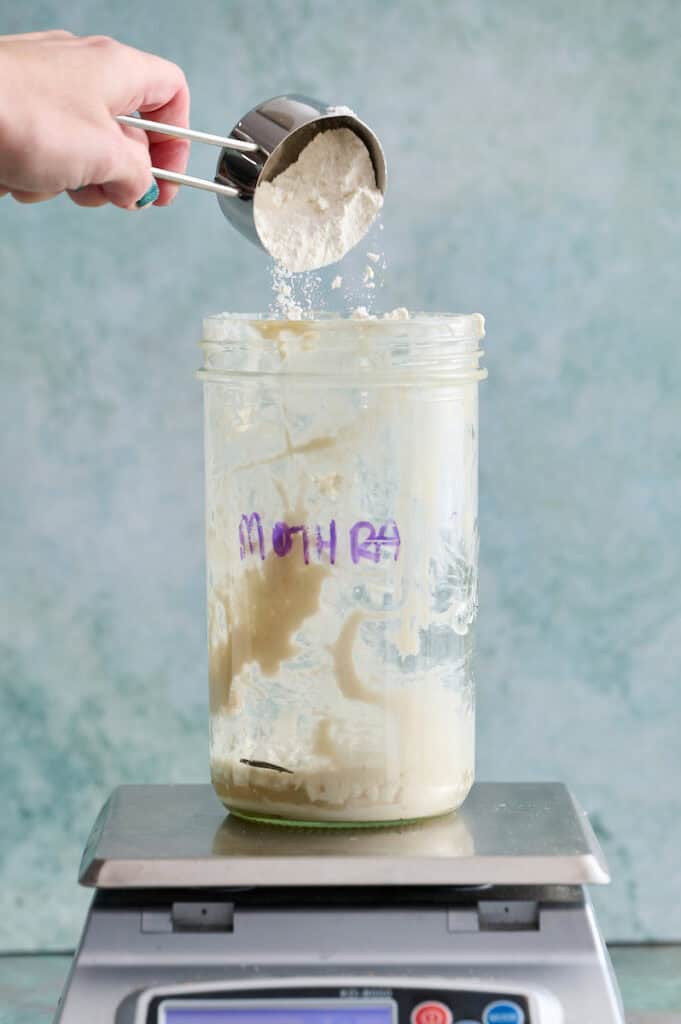 adding flour to a sourdough starter to feed it