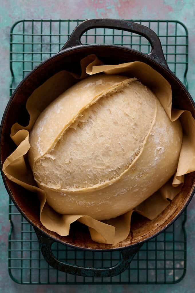 sourdough loaf of bread after initial baking covered in a dutch oven