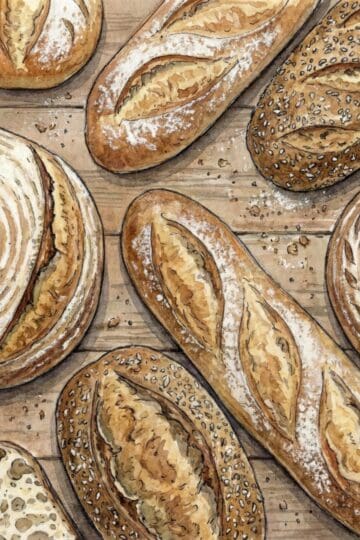 assorted breads and loaves of sourdough