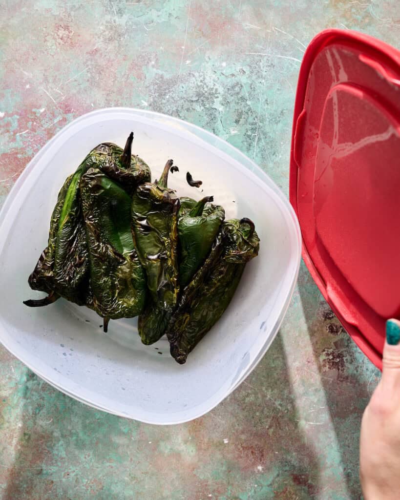 roasted poblano peppers placed in a tupperware container with a lid to steam