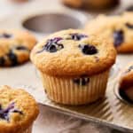 blueberry sourdough discard muffins on a muffin pan