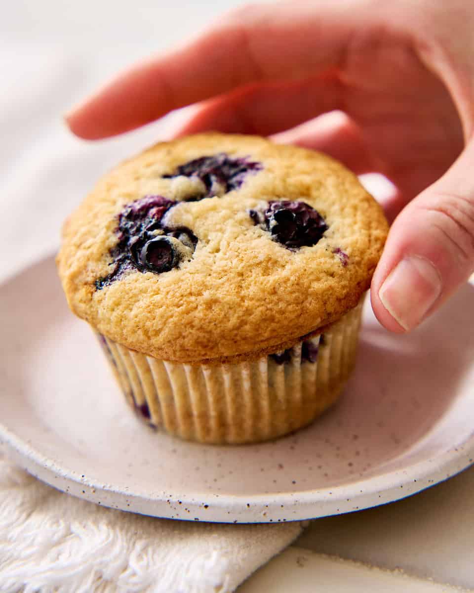 hand reaching to pick up a blueberry muffin on a plate