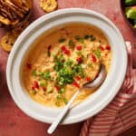 Creamy spicy buffalo chicken dip with chopped green onions and red peppers, perfect for snacks, parties.