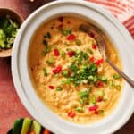 Creamy spicy buffalo chicken dip with chopped green onions and red peppers, perfect for snacks, parties.